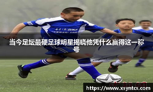 雷火电竞官方网站入口